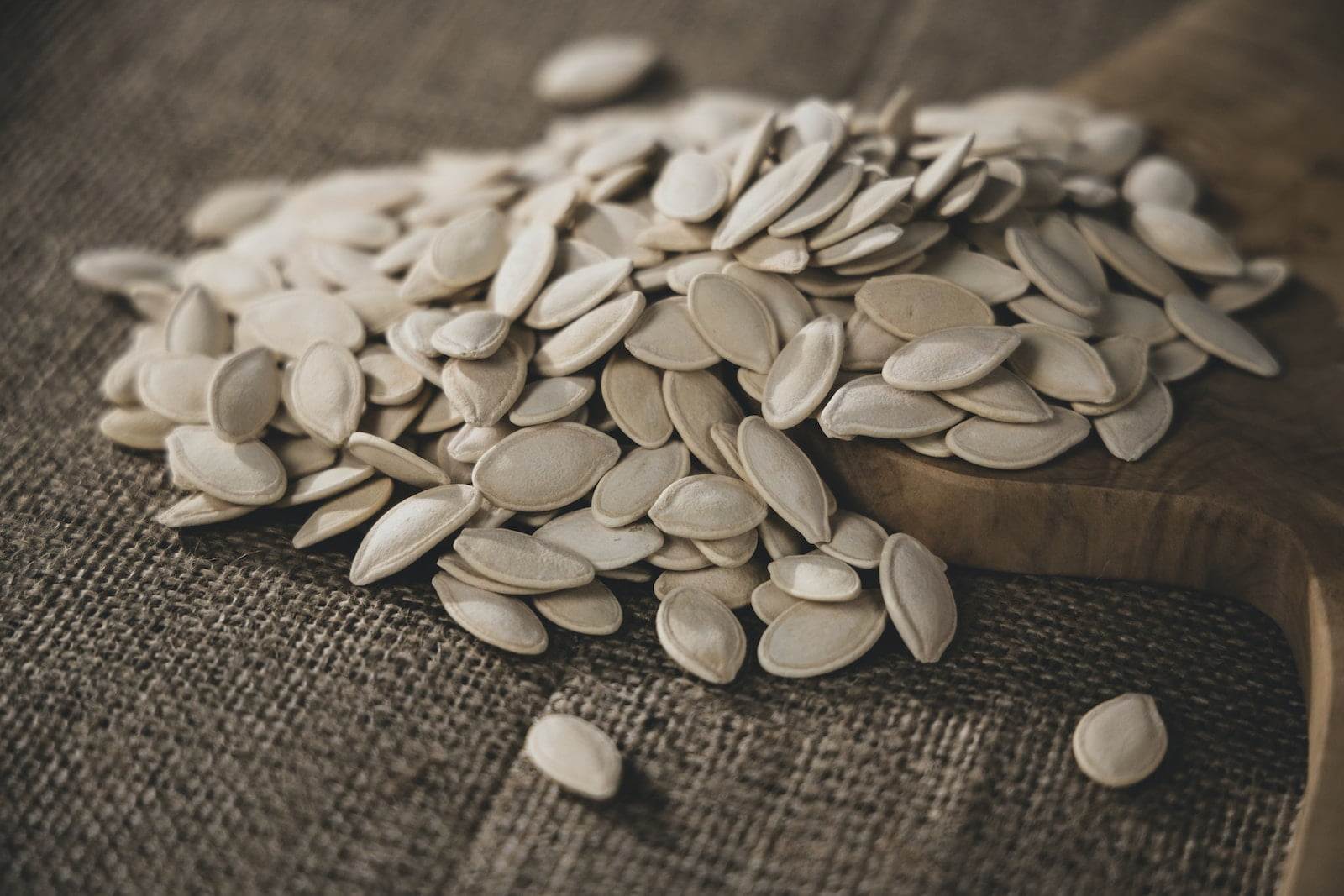 protein of brown seeds